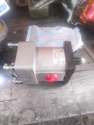 IMG-20210719-WA0013